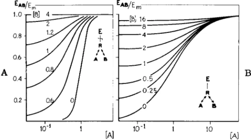 FIG. 4. A and  B . Theoretical log concentration-response curves for the agonist A com­