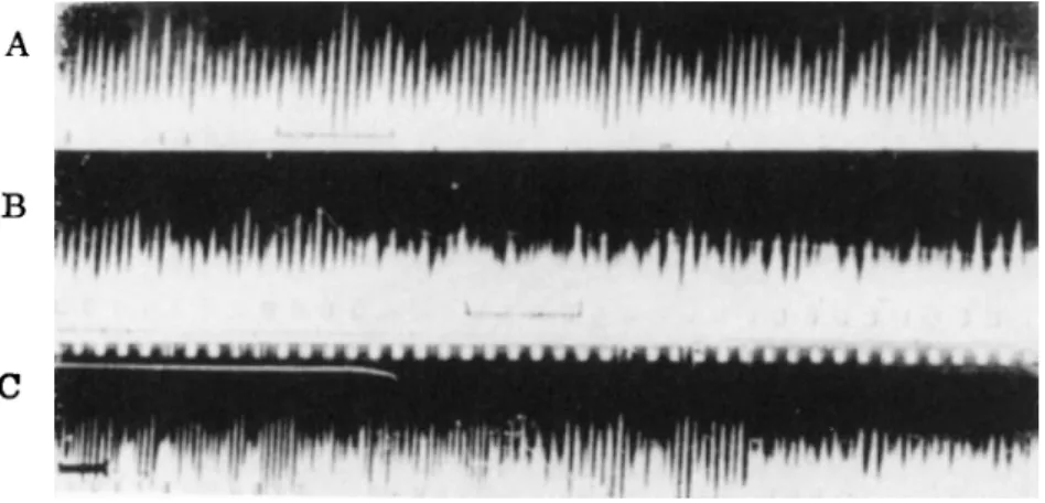 FIG. 6.  A - C . Registrogram of the waves recorded from the surface of the olfactory bulb: 