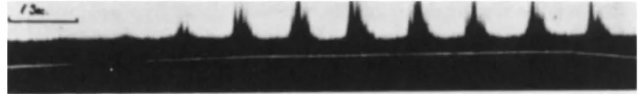 FIG. 8. Recording from an electrode in the mitral cell layer. Stimulation with pentane