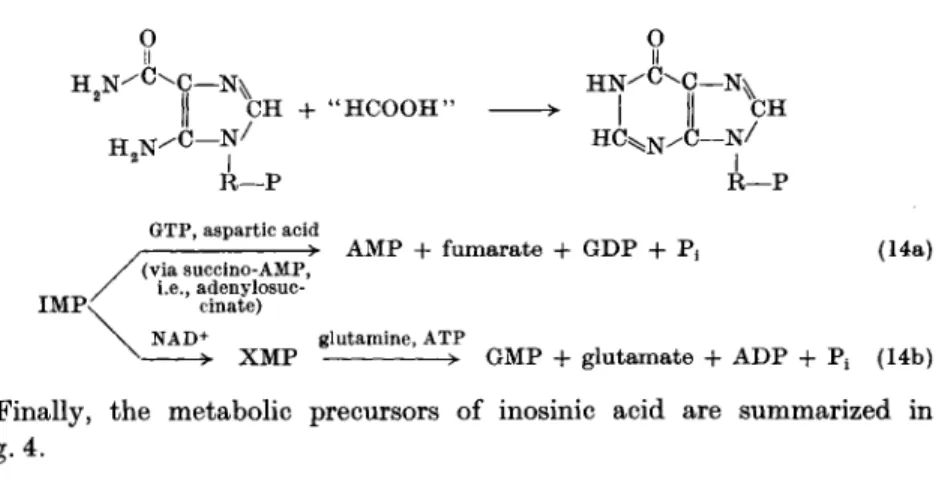 FIG. 4. Precursors of inosinic acid. 