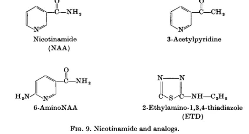 FIG. 9. Nicotinamide and analogs. 