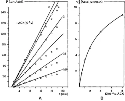 FIG. 6. The enzymatic hydrolysis of acetylcholine (ACh) by ACh-esterase of human  erythrocytes—time-effect curve and concentration-effect curve