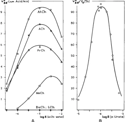 FIG. 9. Substrate inhibition for various substrates. A. The initial reaction velocity as  function of the logarithm of the molar concentration of various choline esters (73)