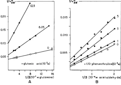 FIG. 10. Noncompetitive inhibitions. A. Of glutaminase by glutamic acid with  glutamine as a substrate