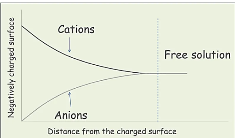 Fig. 3.2. Ion distribution with increasing distance from the charged surface (according to  Gouy-Chapman-model) (Figure of Á