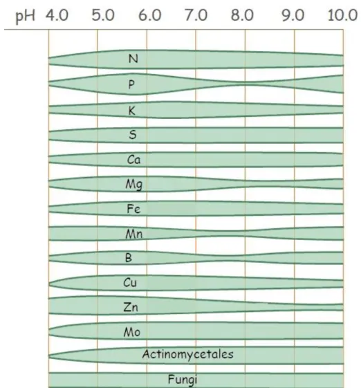 Fig. 3.4: PH dependence of nutrient availability in organic soils. Wider shaded areas indicate  the higher availability