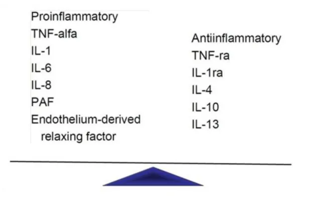 Figure 6.4. Figure  6.4.  Development  of  inflammatory  response,  synthesis  of  lipid  mediators