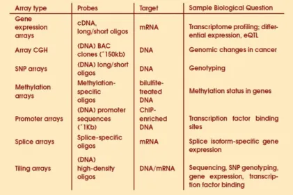 1.5. ábra. Microarray típusok különböző célkitűzésekhez  1.3.4 Genom microarray-k 