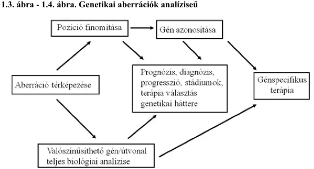 1.3. ábra - 1.4. ábra. Genetikai aberrációk analíziseű