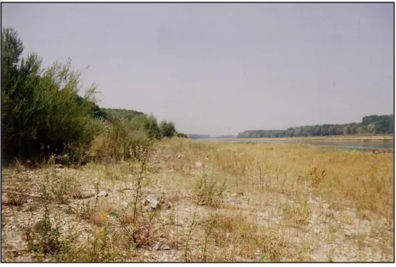 1. ábra: A Duna főmedre Dunaszigetnél 1994. augusztus 