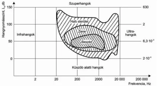 Egy átlagos, egészséges fül a 20–16000 Hz tartományban (11. ábra) hallja  a hangokat. A hétköznapi társalgás 500–2000 Hz között zajlik