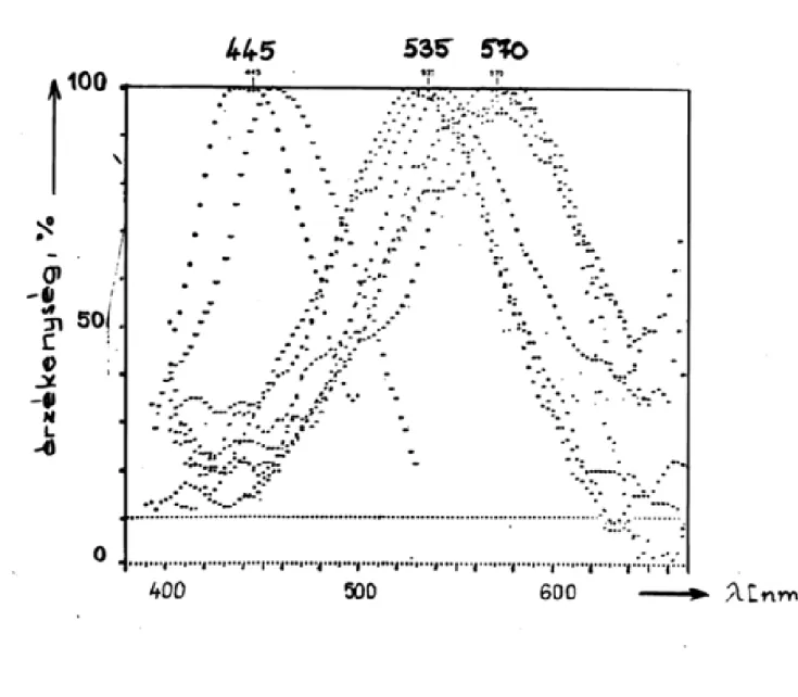 4.8. ábra - Marks, Dobelle és Mc Nichol 1964-ben publikált mérési eredményei