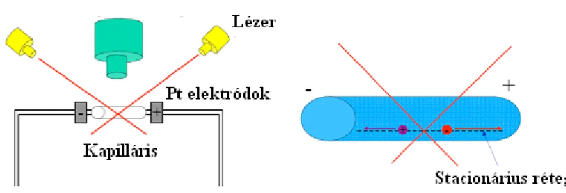 3.2.3.3. ábra: Nanorészecskék elektroforetikus vizsgálatára alkalmas mérőkészülék sematikus rajza