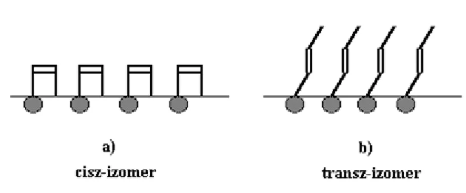 9.1.1.4. ábra: Az  egymással cisz-transz izomer viszonyban levő olajsav (a) és elaidinsav (b)  molekulák víz-levegő határfelületen való elhelyezkedése