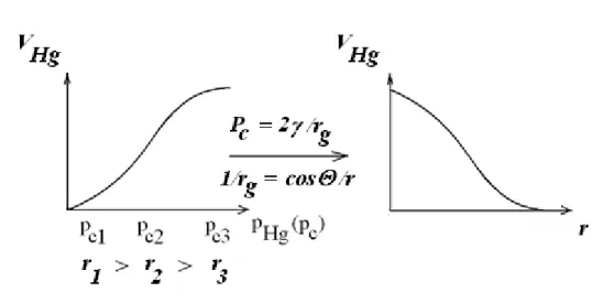 9.2.1.5. ábra: Pórusméret (r)-eloszlás meghatározása Hg-porozimetriával. A meniszkusz görbületi  sugarának (r g ) pórusméret-függésére vonatkozóan l