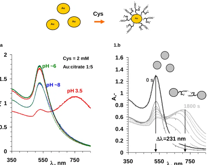 Fig. 1. Spectra of Au:citrate 1:5 sol added c Cys = 2 mM at various pH 1.a) and the kinetics of change at pH 