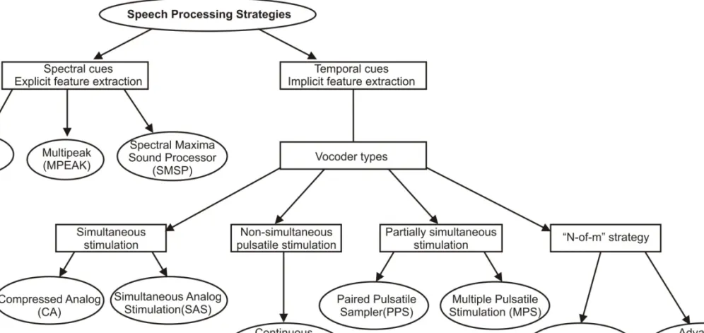 Figure 8. Different speech processing strategies used in cochlear implants. Some strategies developed recently are not indicated (like the Tempo from Med-El or the HiResolution from Advanced Bionics).
