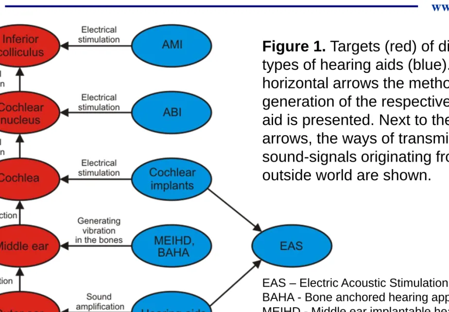 Figure 1. Targets (red) of different  types of hearing aids (blue). On the  horizontal arrows the method of signal  generation of the respective hearing  aid is presented