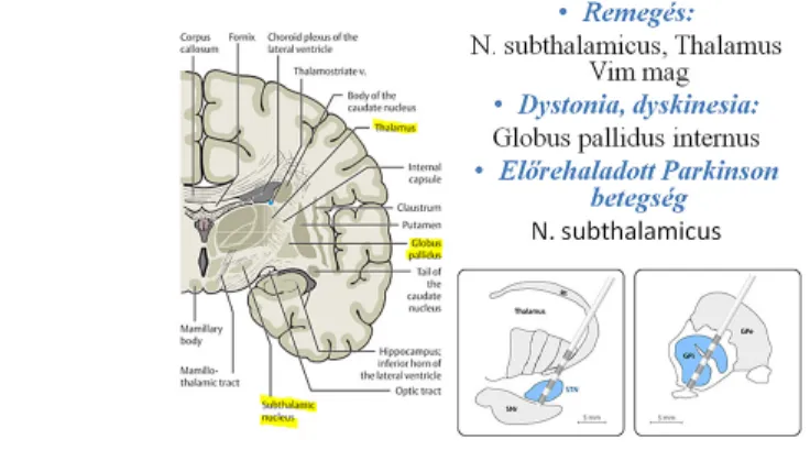 Fig. 1 shows which targets are chosen depending on the symptoms.