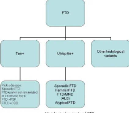 Fig. 12: Syndromes belonging to the FTD group Fig. 13: Histological variants of FTD