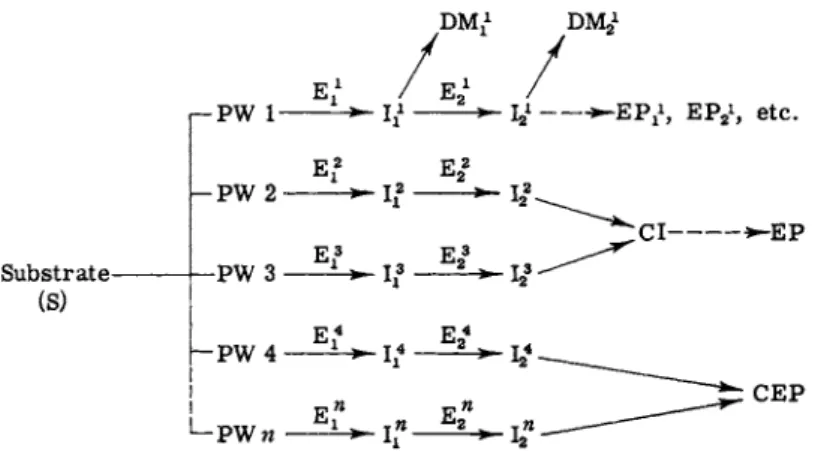 FIG. 1. Schematic diagram of metabolic pathways. S = substrate; PW 1, 2,  etc. = pathway 1, 2, etc.; Ε = enzyme; I = intermediate;  D M = deviate metab­