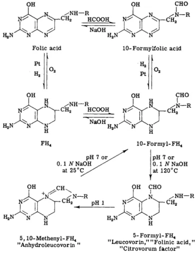 FIG. 3. Formylation reactions of folic acid and synthesis of leucovorin. 