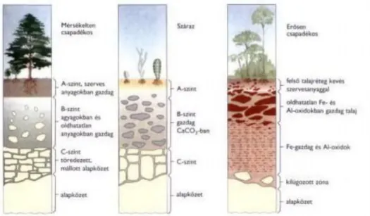 1-6. ábra A talajok szerkezete