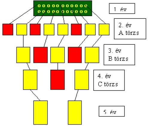 Figure 2.3. 3. ábra: Pedigré módszer