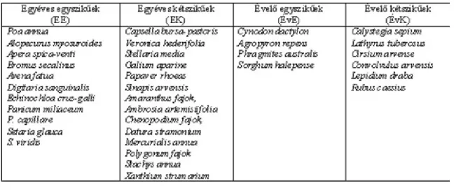 Figure 1.5. Főbb gyomfajaink morfológiai-ökológiai spektrum szerinti csoportosítása