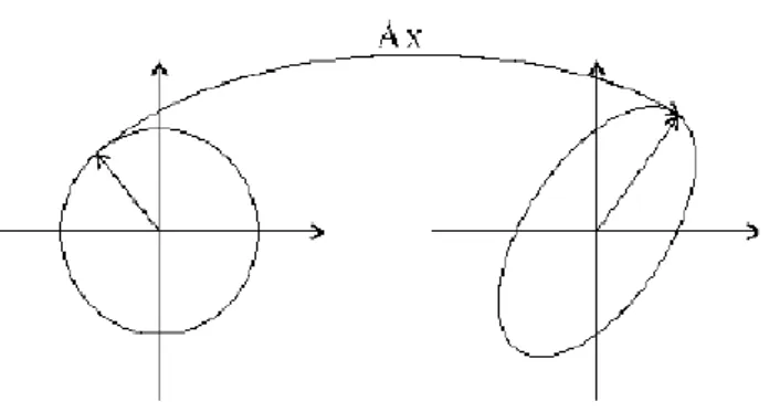 2.3. ábra - Indukált norma geometriai jelentése