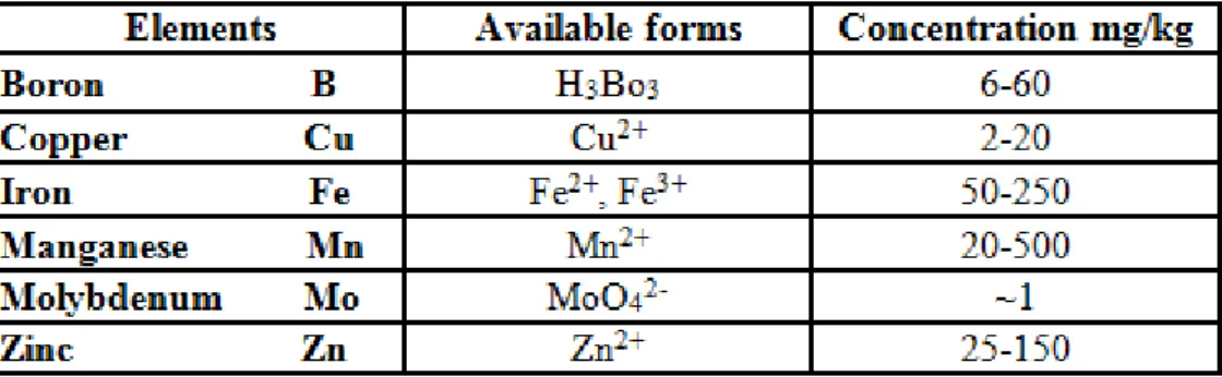 Table 9 The following table shows the available forms and usual concentrations of these microelements in  plants
