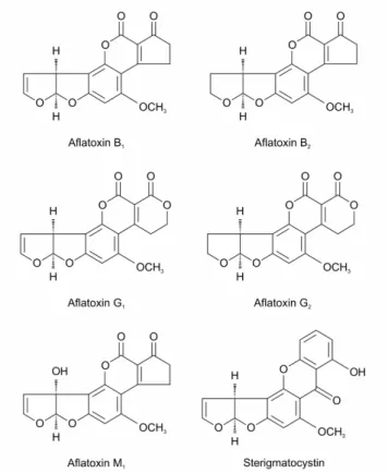 Figure 1. Chemical structures of aflatoxins and sterigmatocystin 