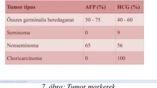 7. ábra: Tumor markerek