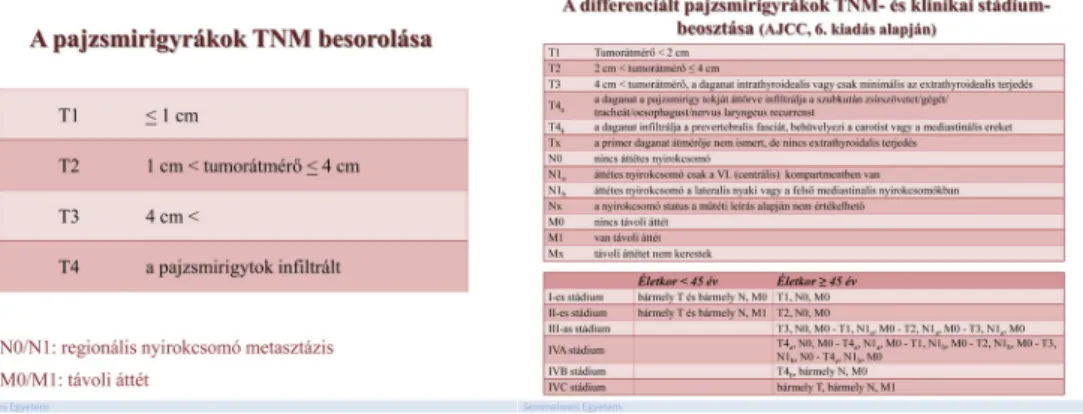 A 14. ábra a papilláris pajzsmirigy rák a15. ábra a folliculáris pajzsmirigyrák legfontosabb klinikai jellemzőit mutatja be.