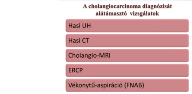 Melyek a cholangiocarcinoma legfontosabb kockázati tényezői? (10. ábra)