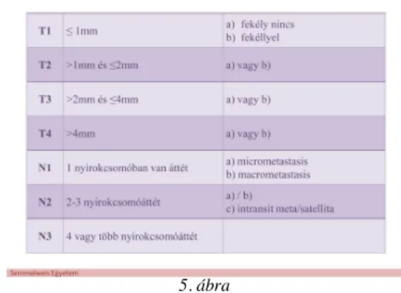 6. ábra: Példák Her2 meghatározás eredményére emlőrák esetekben: a felső sorban score 3 Her2 immunhisztokémiai reakció mellett egyértelmű Her2 génamplifikáció igazolható FISH-val, az alsó sorban