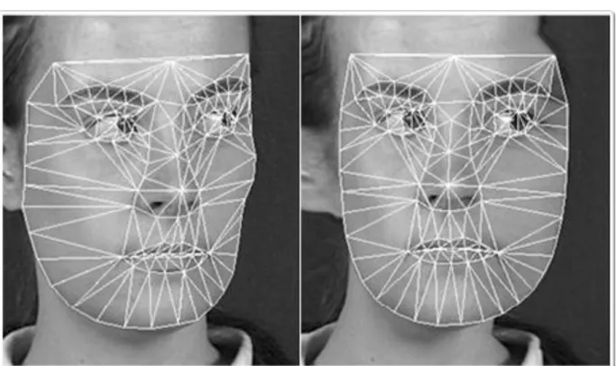 4.3.5.1. ábra Forrás: 3D arcfelismerő rendszer