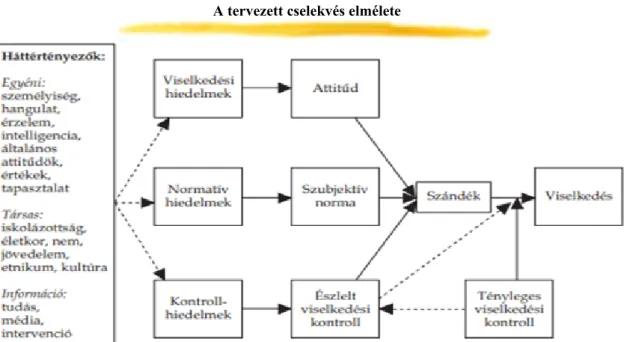 A modell (17. ábra) kifejezi a különböző hiedelmek és azok hatására kialakuló tényezők  (attitűd,  szubjektív  norma,  észlelt  viselkedési  kontroll)  közötti  meglehetősen  komplex  összefüggésrendszert, amely együttesen befolyásolja azután az egyén csel