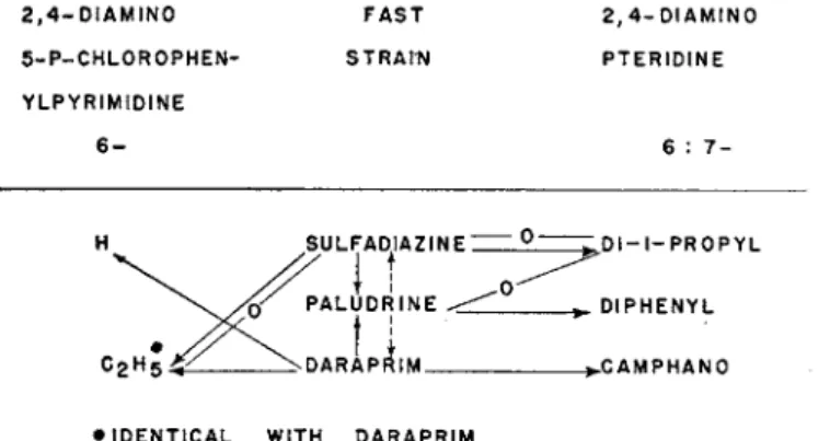 FIG. 4. Drug resistance of Plasmodium gallinaceum and P. berghei. 