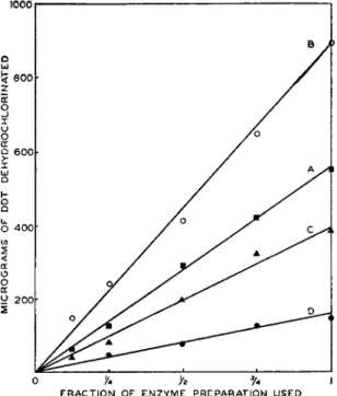 FIG. 1. The effect of enzyme concentration on the rate of dehydrochlorination of  DDT