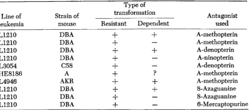TABLE 1.  Transformations  in Leukemic Cells of Several Transplantable Lines  Type of 