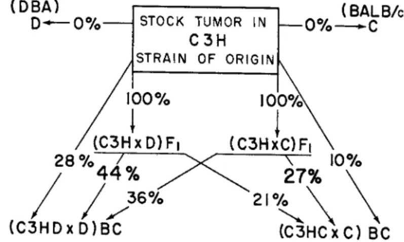 FIG. 3. The results of transplantation of the tumor from various donors to various  recipients