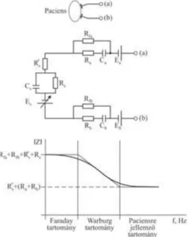 1.5. ábra - Az elektród-elektrolit határfelület töltéseloszlását leíró Helmholtz-modell
