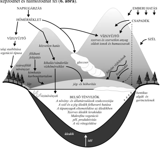 6. ábra Természetes üledékgyűjtőben kapcsolata az üledékgyűjtő területtel,  üledékképző környezettel, a rétegképző környezetben lejátszódott akkumulációs,  beágyazódási és rétegképző folyamatok (Forrás: Gaillard – Birks 2007 nyomán 