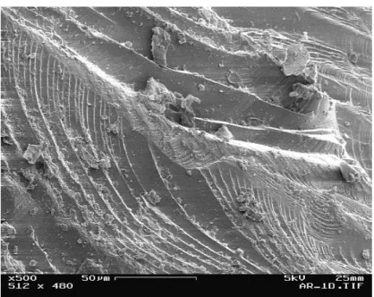 33. ábra Periglaciális örökfagy hatása kvarcszemcse felszínén – fagymarási  nyomok (frost shattering prints) – pásztázó elektronmikroszkópiás felvétel N = 