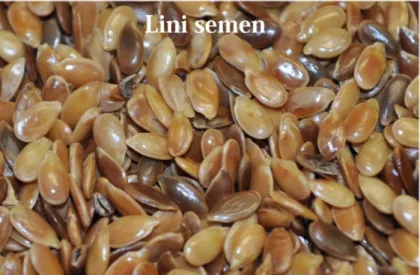 Figure  1.17  Lini semen (flax seed) 