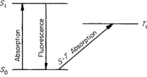 Fig.  2 . Simplified term scheme. 