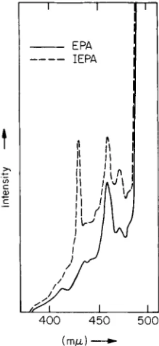 Fig. 33. Phosphorescence spectrum of a coal tar fraction on excitation with 300 m/x  in EPA (—) and ΙΕΡΑ (—)