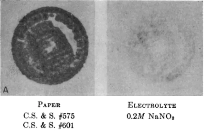 FIG. 9. Developed ferrocyanide electrographs of bronze coin showing control of  diffusion by buffering the electrolyte and using gelatin printing medium
