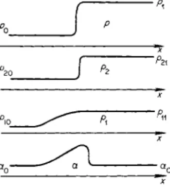 Fig. 7.10. Pressure and density dis­